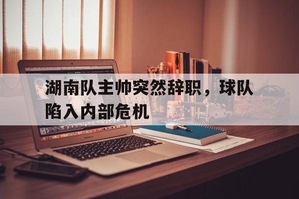 湖南队主帅突然辞职，球队陷入内部危机的简单介绍