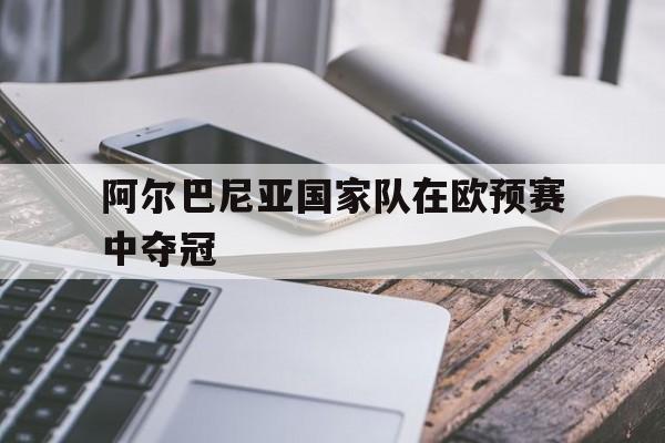 阿尔巴尼亚国家队在欧预赛中夺冠
